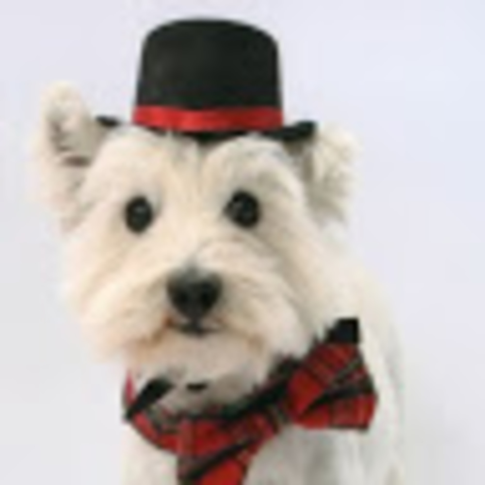 Meet your Posher, Denise